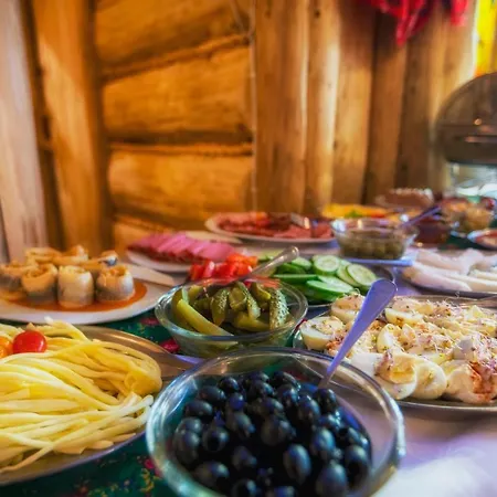 Nalecz Center Ξενοδοχείο Ζακοπάνε