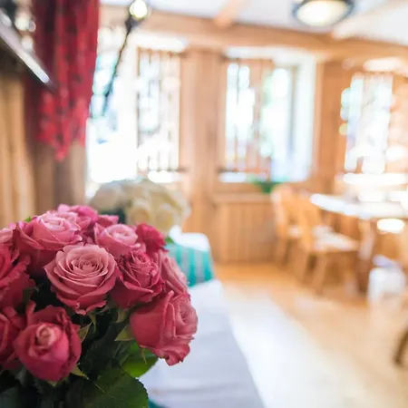 Nalecz Center 2* Ζακοπάνε