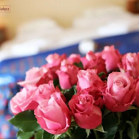 Hotel Nalecz Center 2*