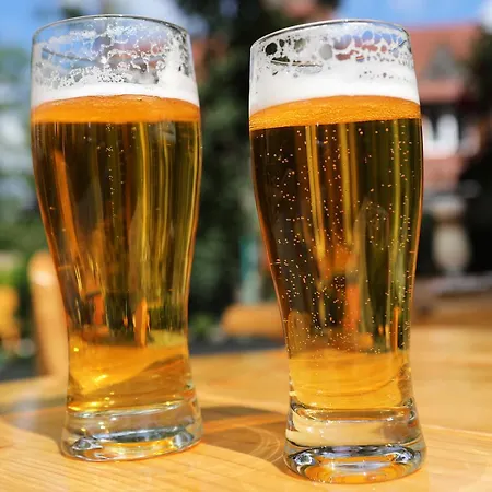 Nalecz Center Zakopane