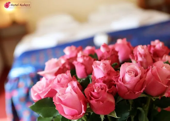 Отель Nalecz Center 2*